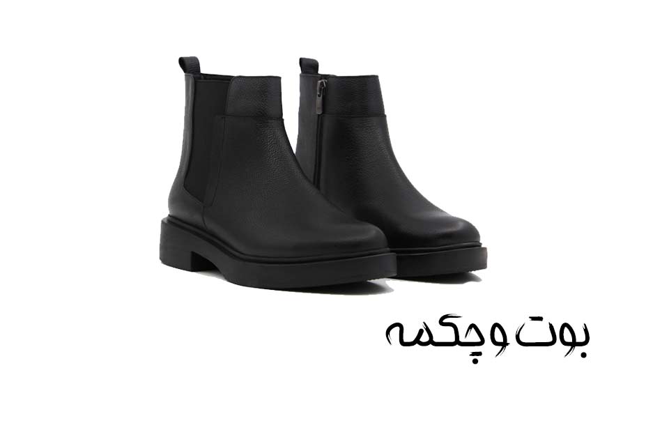 دسته بندی بوت
